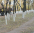 В Лопатинском районе состоялся субботник по благоустройству и санитарной очистке территорий - Лопатинский район