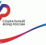 Информация от Социального фонда для участников СВО и их семей - Лопатинский район